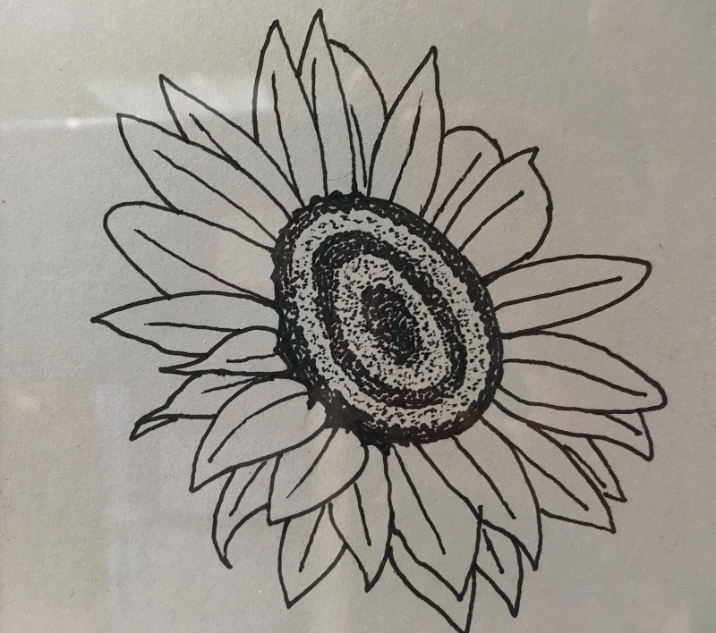 Jürgen Jaensch, Sonnenblume, schwarz-weiß, 2018